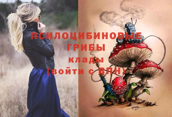 винт Сатка
