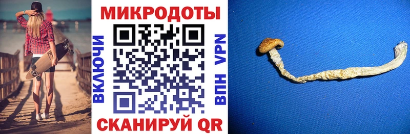 Галлюциногенные грибы Psilocybine cubensis  продажа наркотиков  Нестеровская 